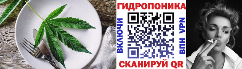 Canna-Cookies марихуана  продажа наркотиков  Зубцов 