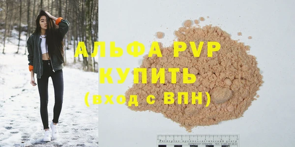 гашик Арсеньев