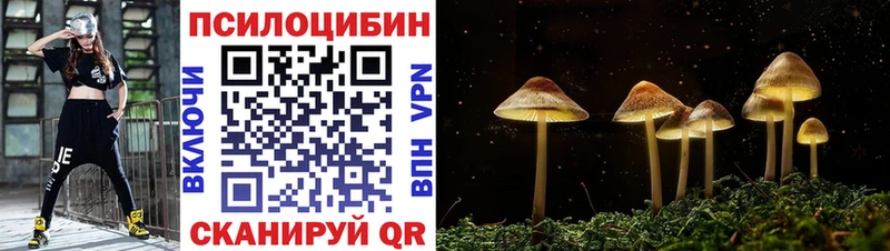 Галлюциногенные грибы Magic Shrooms дарк нет состав Зубцов