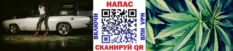 Конопля гибрид  mega зеркало  Зубцов 